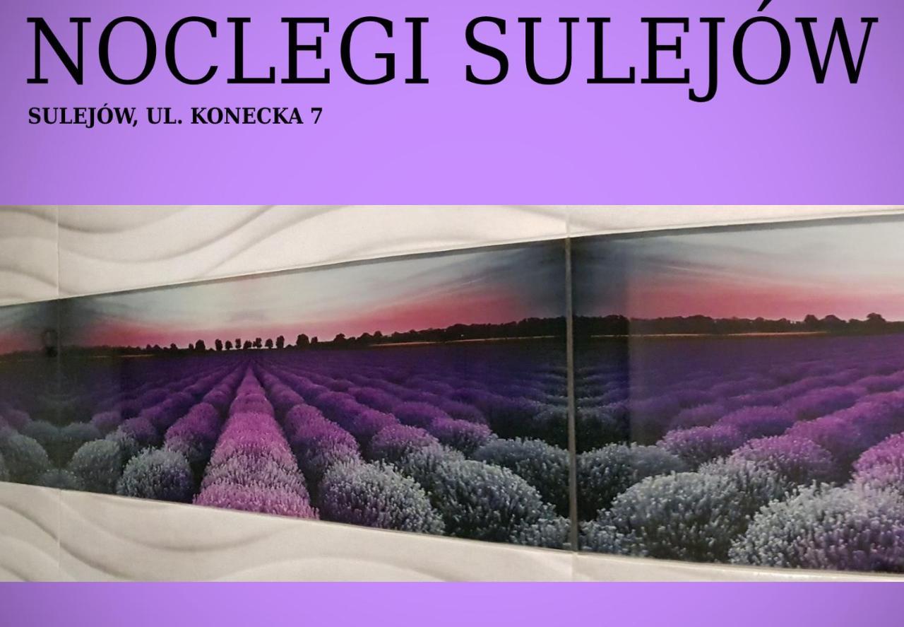 Noclegi Sulejow Exterior photo